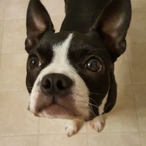 Meet your Posher, Aubrey